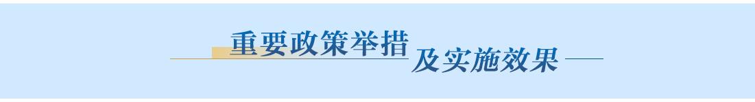 重要政策舉措及實(shí)施效果